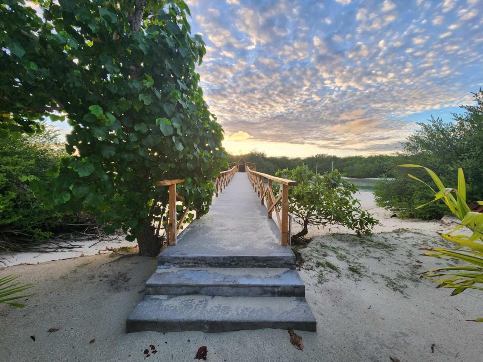 Surf Deck Hotell Thulusdhoo Eksteriør bilde